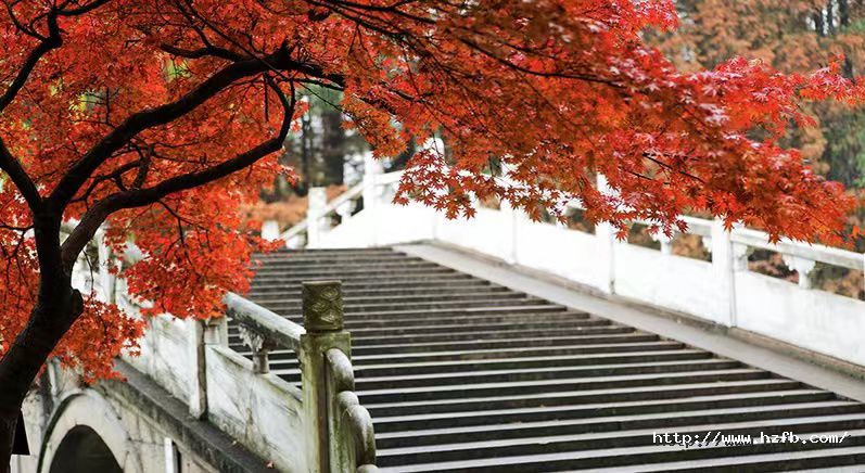 1671153564414229Bu1j.jpg 4.jpg